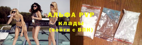 хмурый Белокуриха