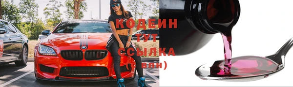 хмурый Белокуриха