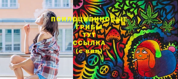 хмурый Белокуриха