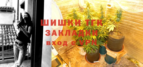 хмурый Белокуриха