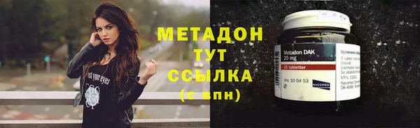 хмурый Белокуриха