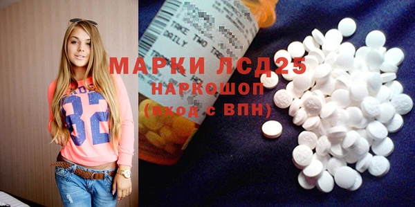 хмурый Белокуриха