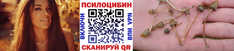 Купить закладки  Краснокаменск  Псилоцибиновые грибы MAGIC MUSHROOMS 